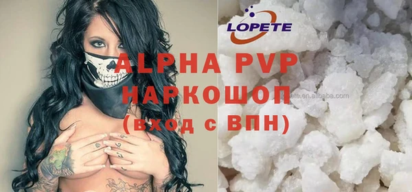 соль ск Инсар