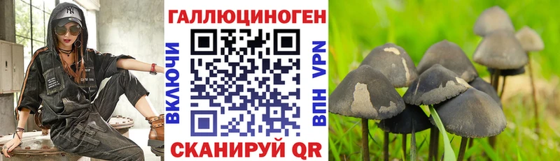 маркетплейс наркотические препараты  Иркутск  Псилоцибиновые грибы мухоморы 